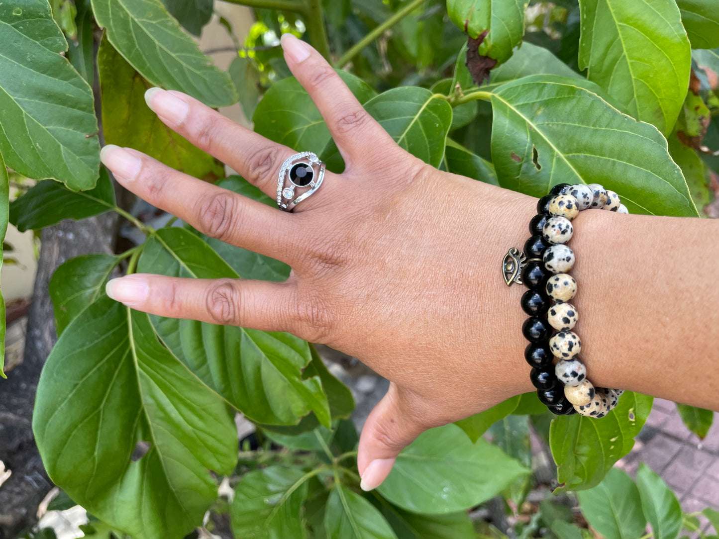 Jasper Dalmatian,  Healing Bracelet.