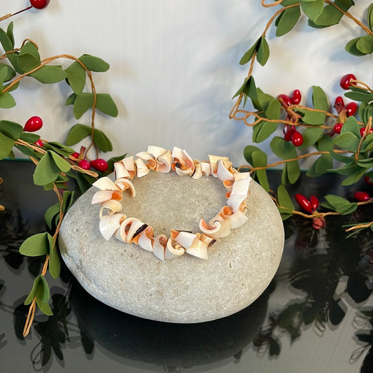 Shell “Natural “ Healing Bracelet.