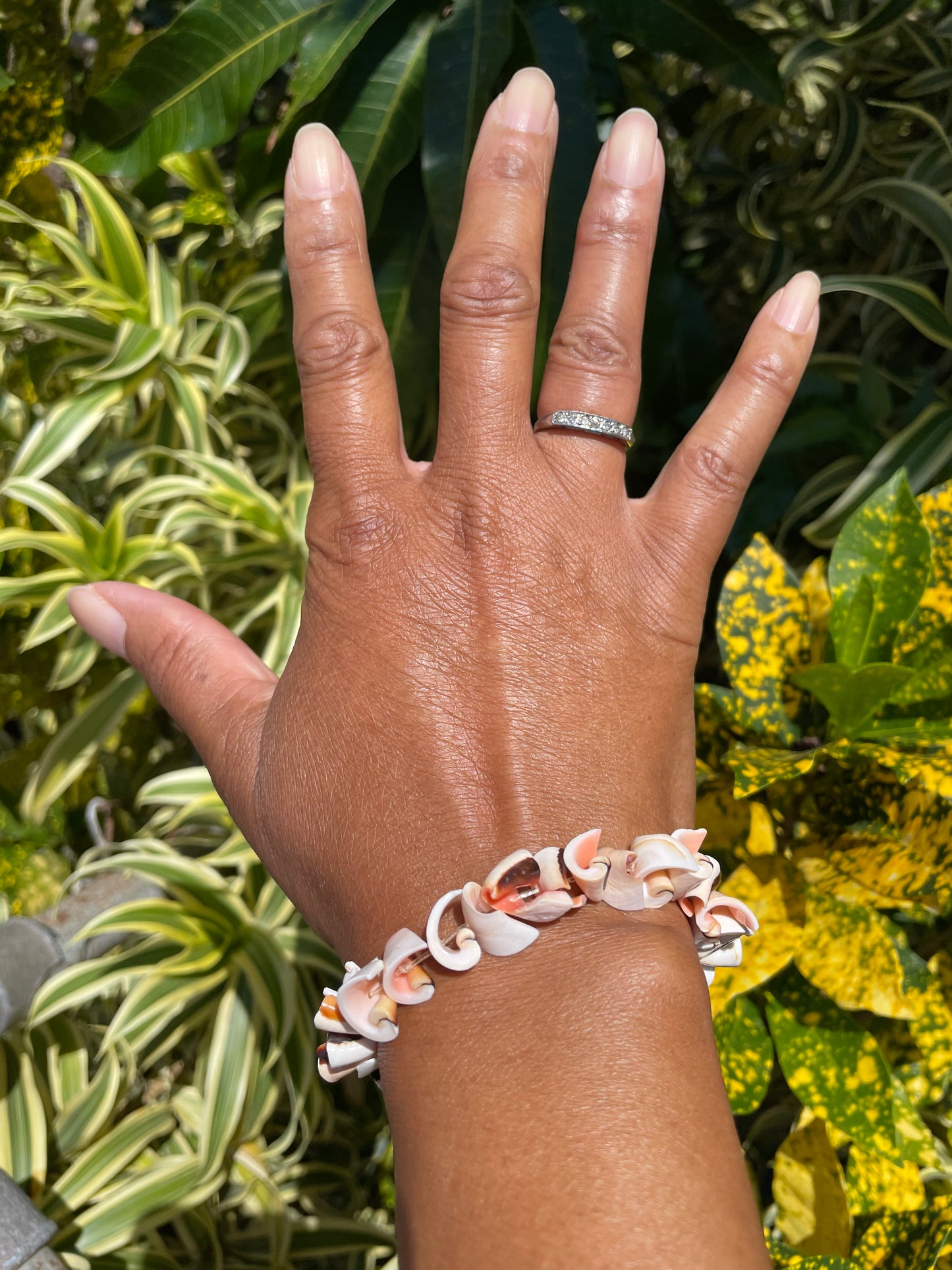 Shell “Natural “ Healing Bracelet.