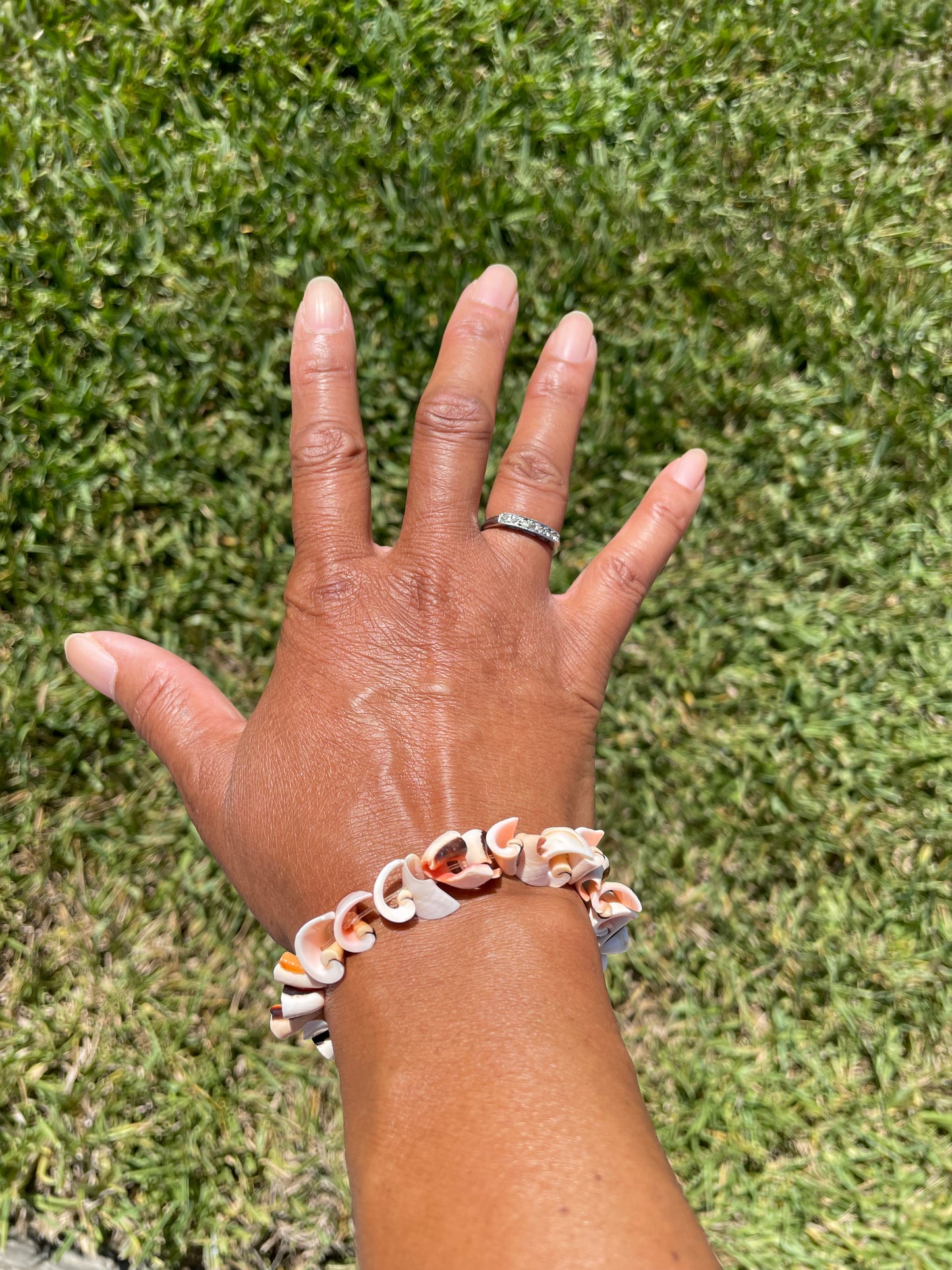 Shell “Natural “ Healing Bracelet.