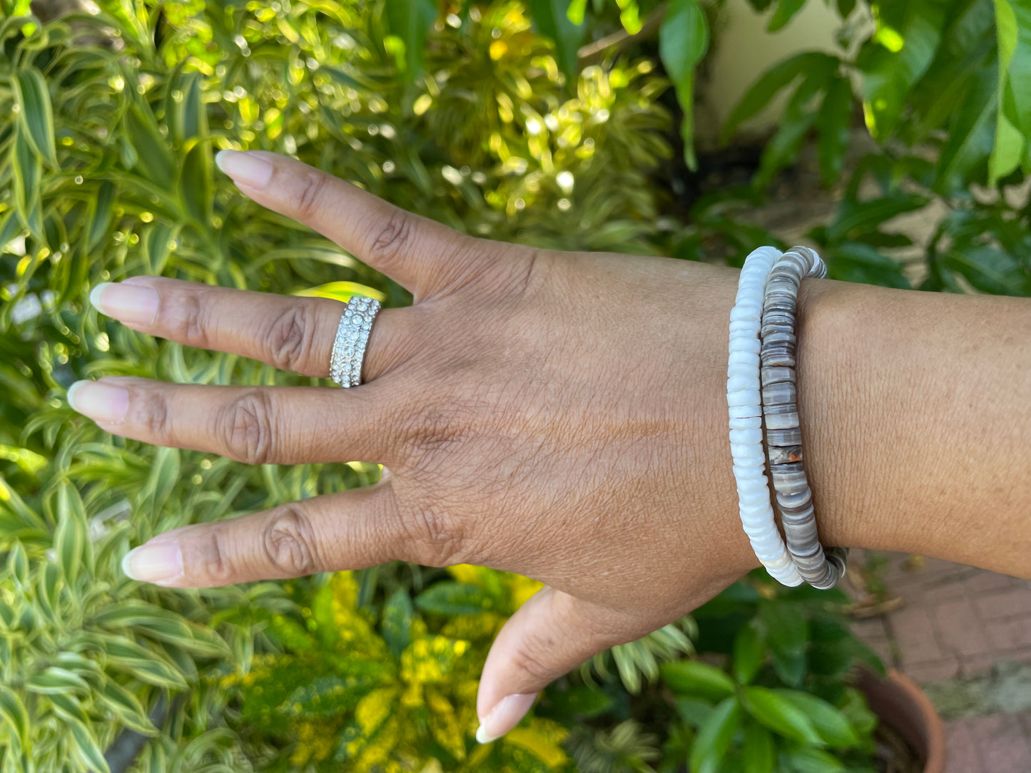 Shell, Moon Shell,  White Healing Bracelet.