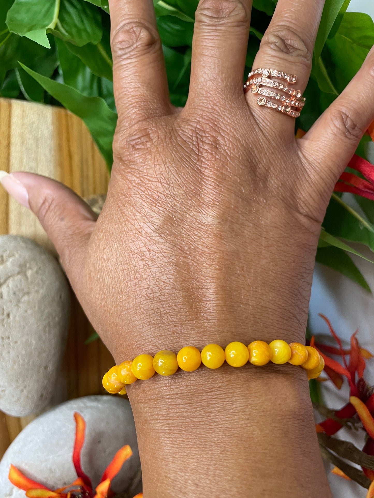 Shell, River Shell, “Yellow” Healing Bracelet.