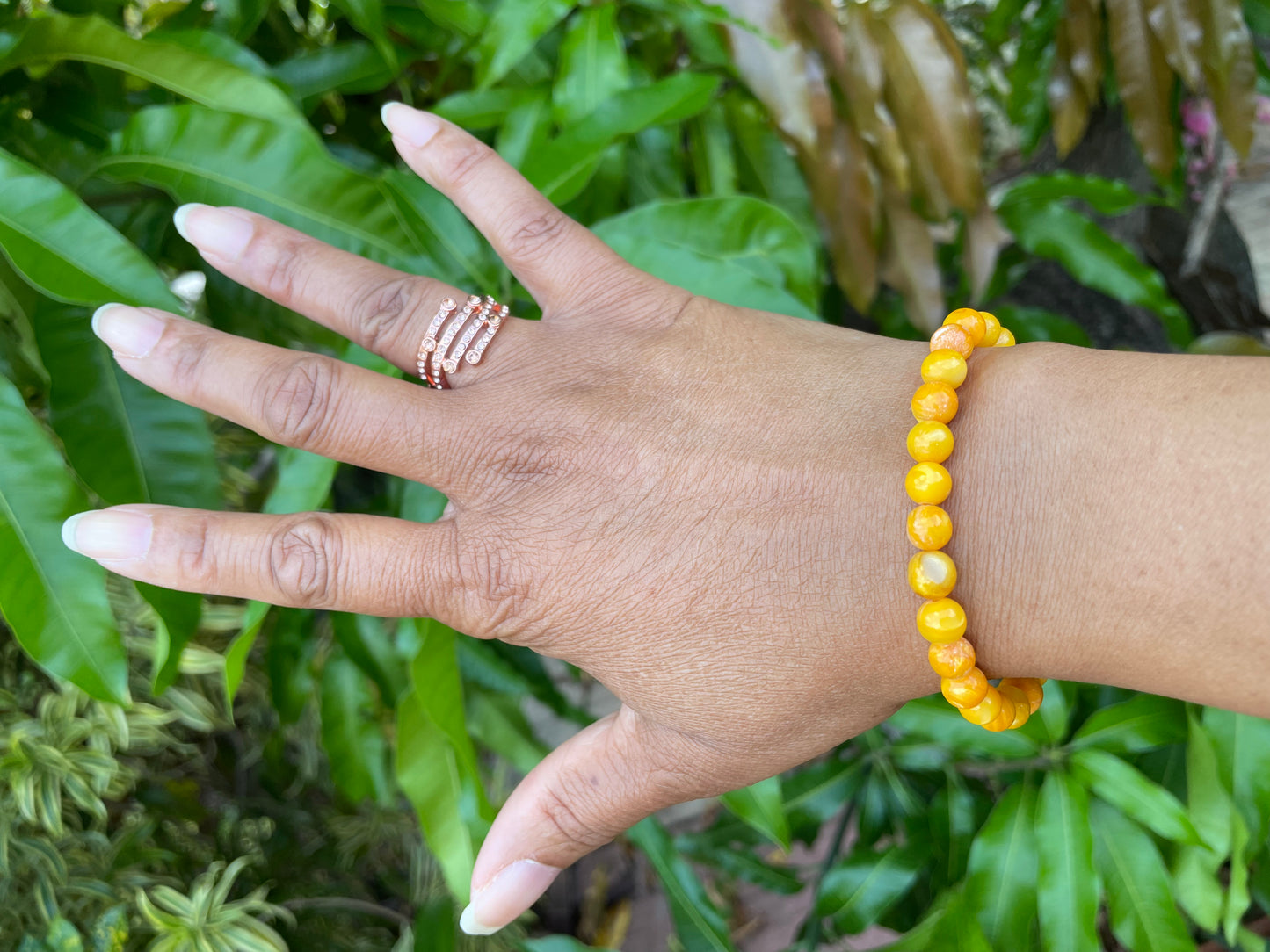 Shell, River Shell, “Yellow” Healing Bracelet.
