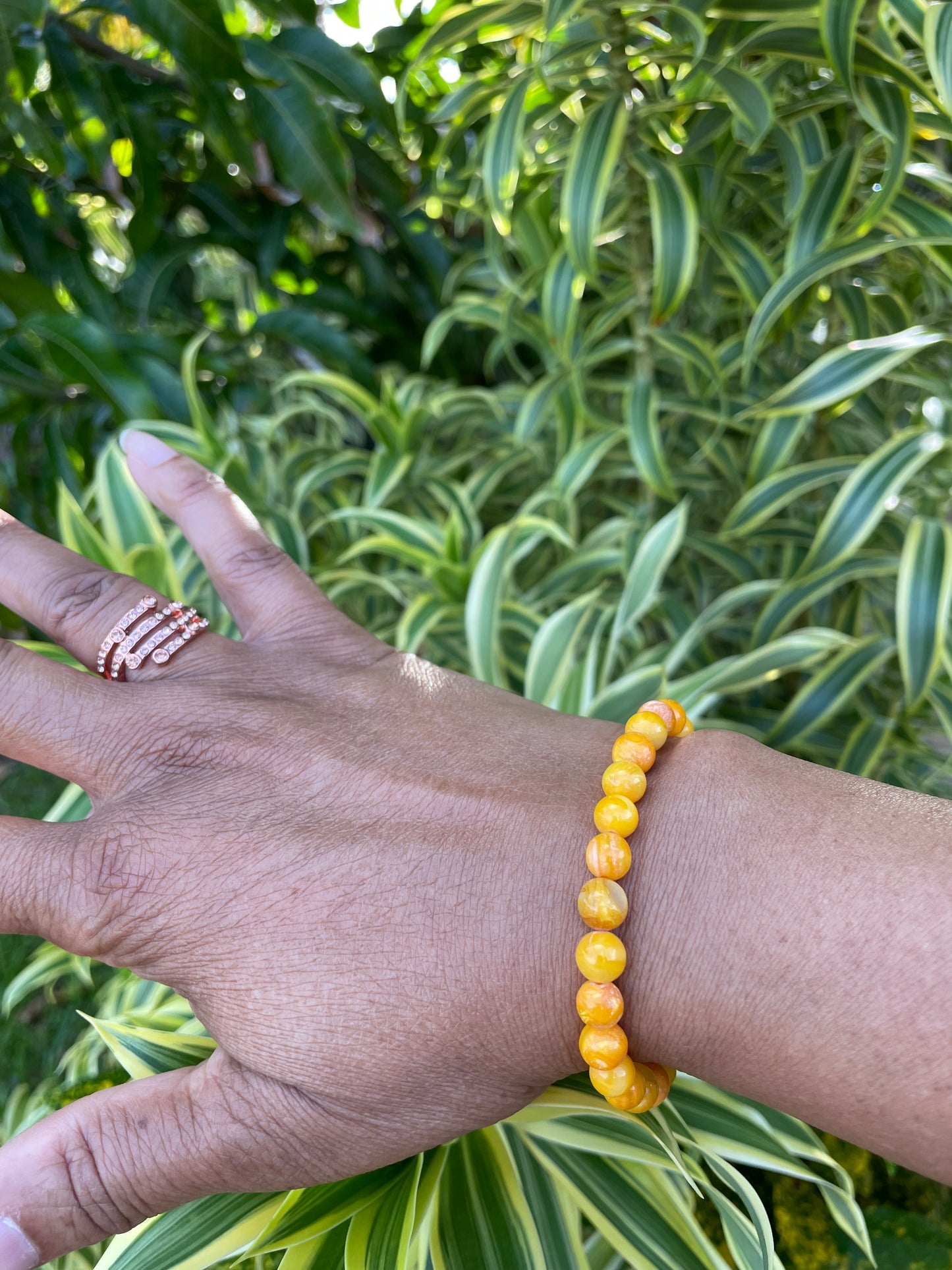 Shell, River Shell, “Yellow” Healing Bracelet.