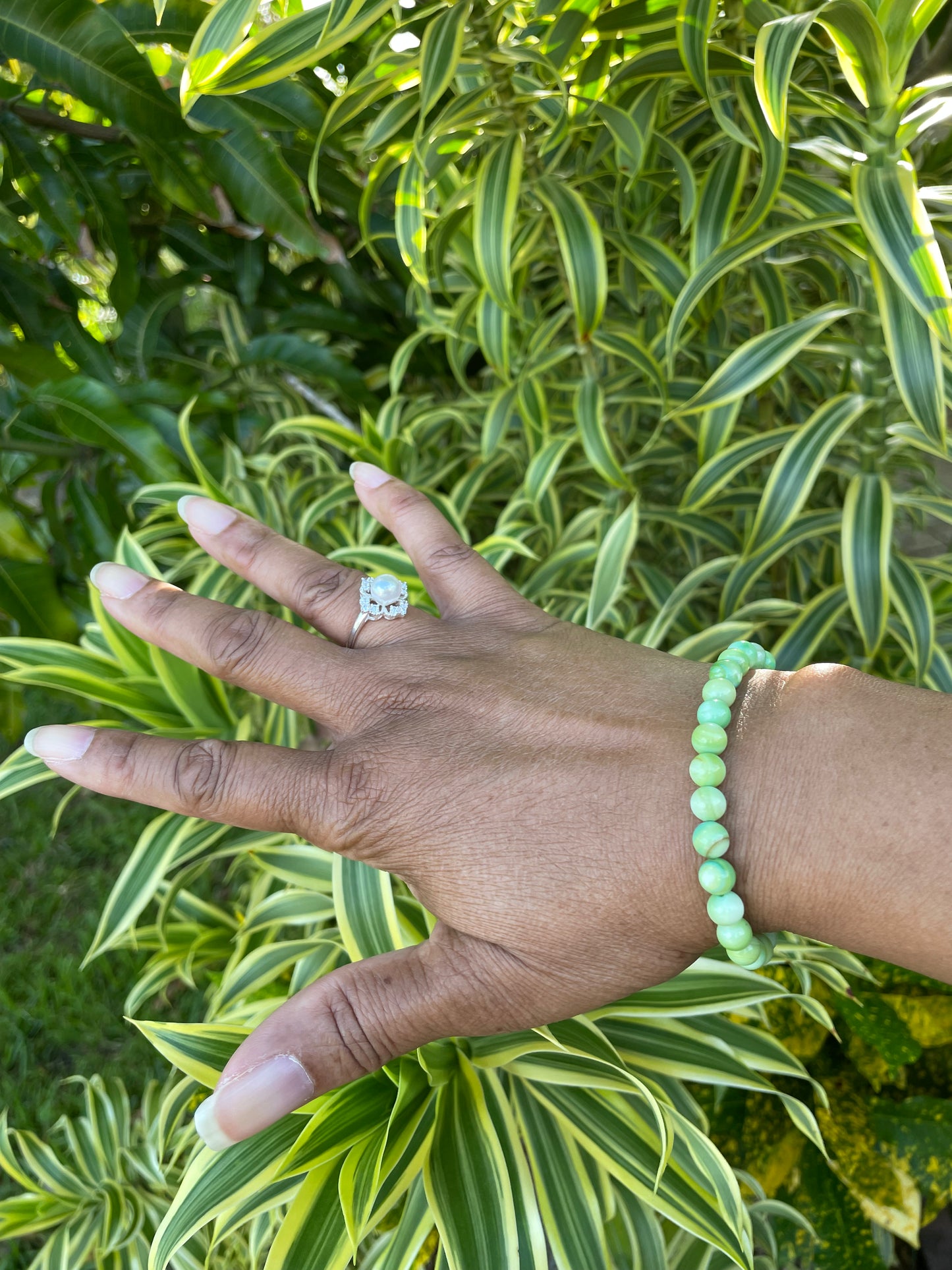 Shell,  Green Healing Bracelet.
