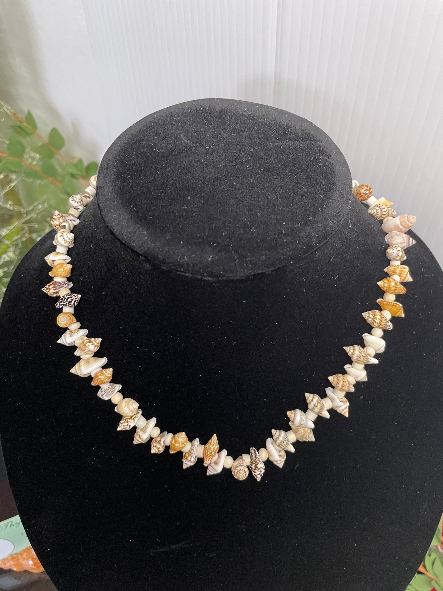 Shells w/Bone Spacing, Healing Necklace.