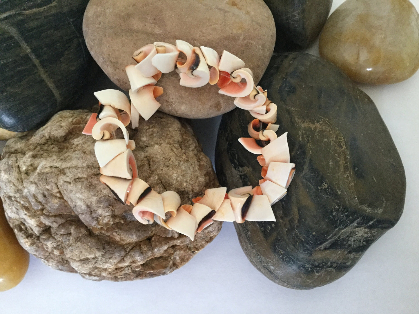 Shell “Natural “ Healing Bracelet.